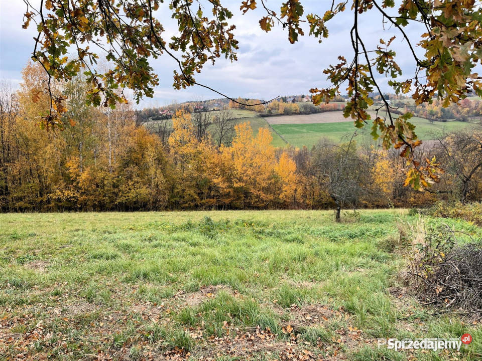 Dom wolnostojący sprzedam Szymbark 110m2 110m2