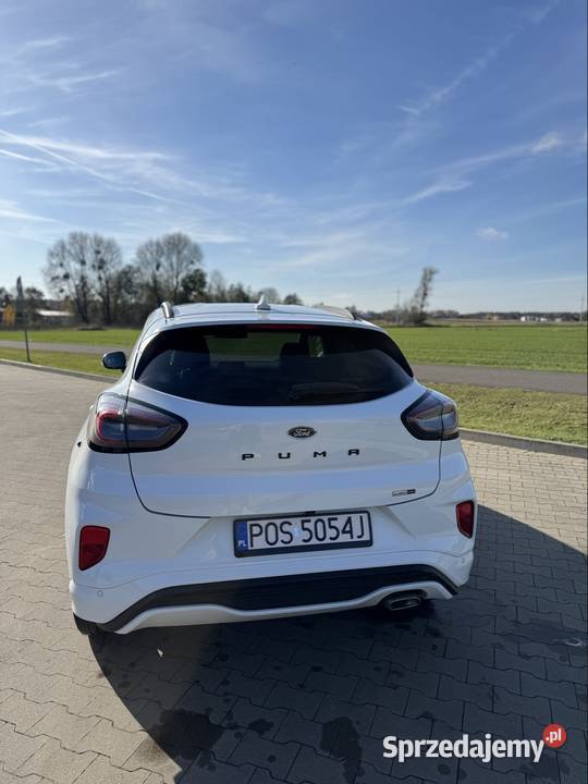 Ford Puma stline tempomat Lewków