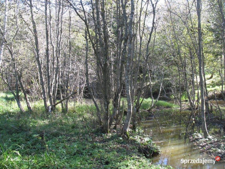 Piękna działka leśna Bieszczady Strzebowiska