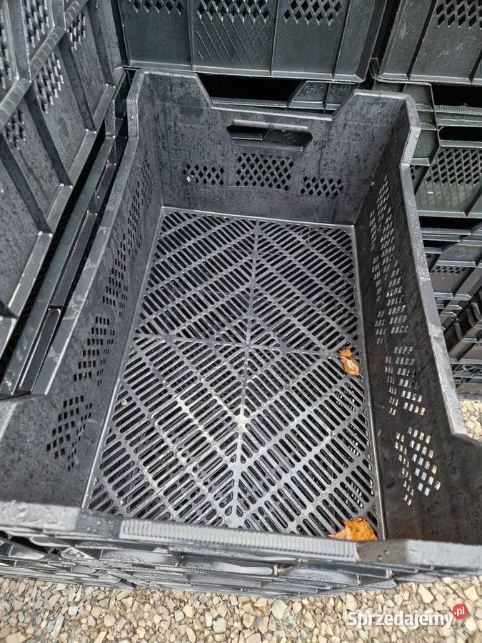 Skrzynka plastikowe Krzątka