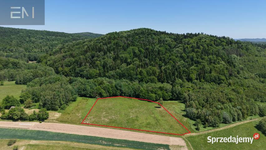 Działka 8800m2 Huta Gogołowska