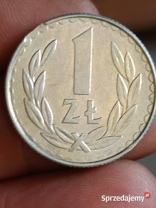 Sprzedam monete 1 zloty 1988 r odkroj blachy zzz Chełm