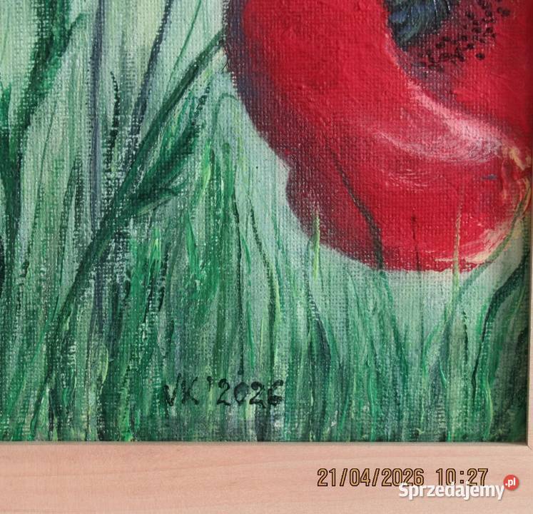 Czerwone maki Bychawka Trzecia sprzedam