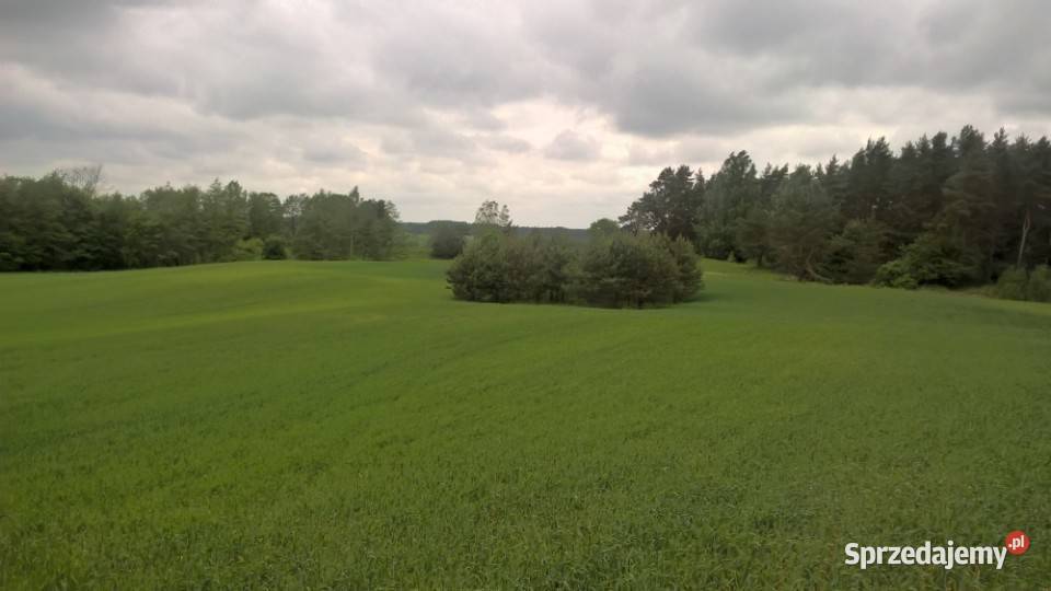 Mazury Stare Juchy działki 3000m2 w okolicach