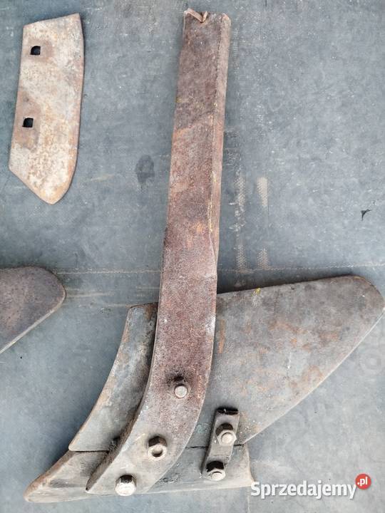 Przedpłużki pługa zagonowego Polskiego Strzelno