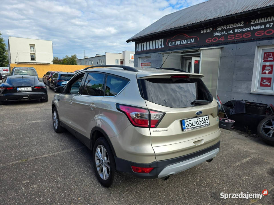 Ford Escape 15 Ecoboost 182 Automat Kamera LED SUV pomorskie Słupsk
