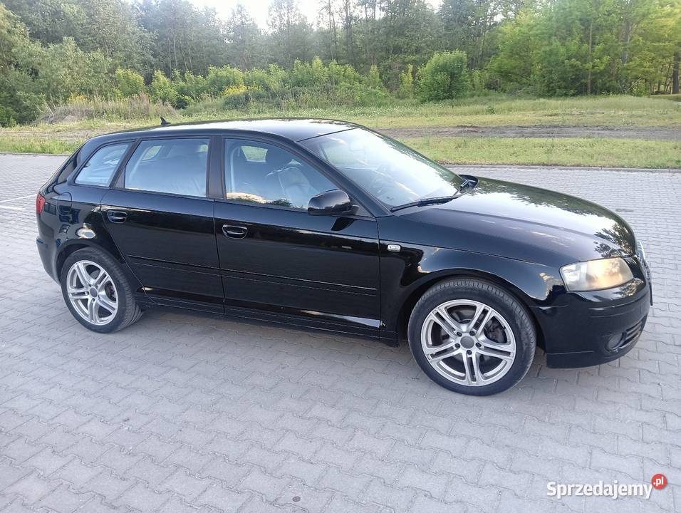 Sprzedam Audi A3 8P Rok produkcji 2004 Paniewo