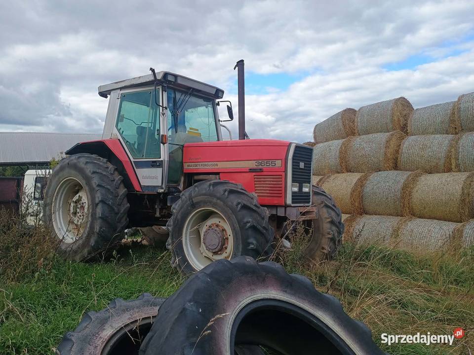 Massey Ferguson 3655 Prosienica