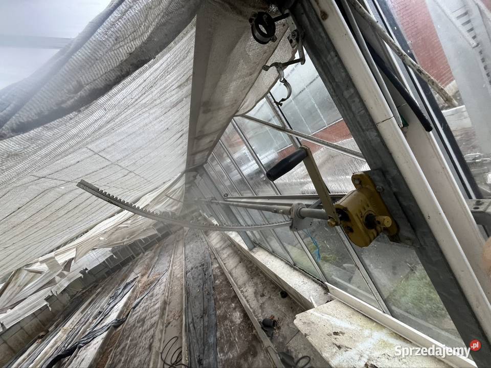 Szklarnia przemysłowa do rozbiórki 30m 10m Turek sprzedam