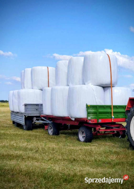 Sianokiszonka bele Grajewo