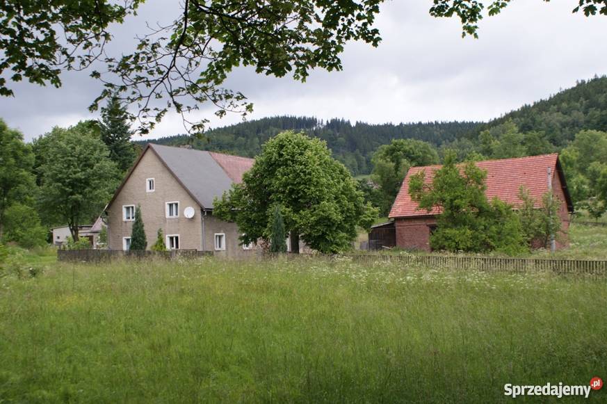 Sprzedam budynek mieszkalnogospodarczy do zamieszkania Domy Leszczyniec