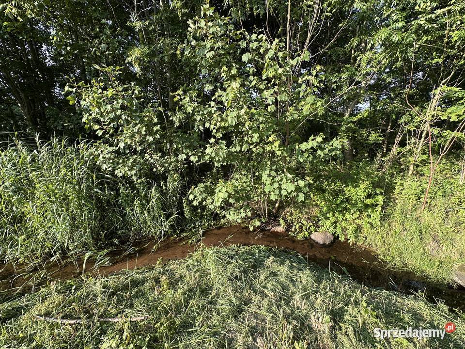 Działka z linią brzegową Sprzedaż Pomianowo