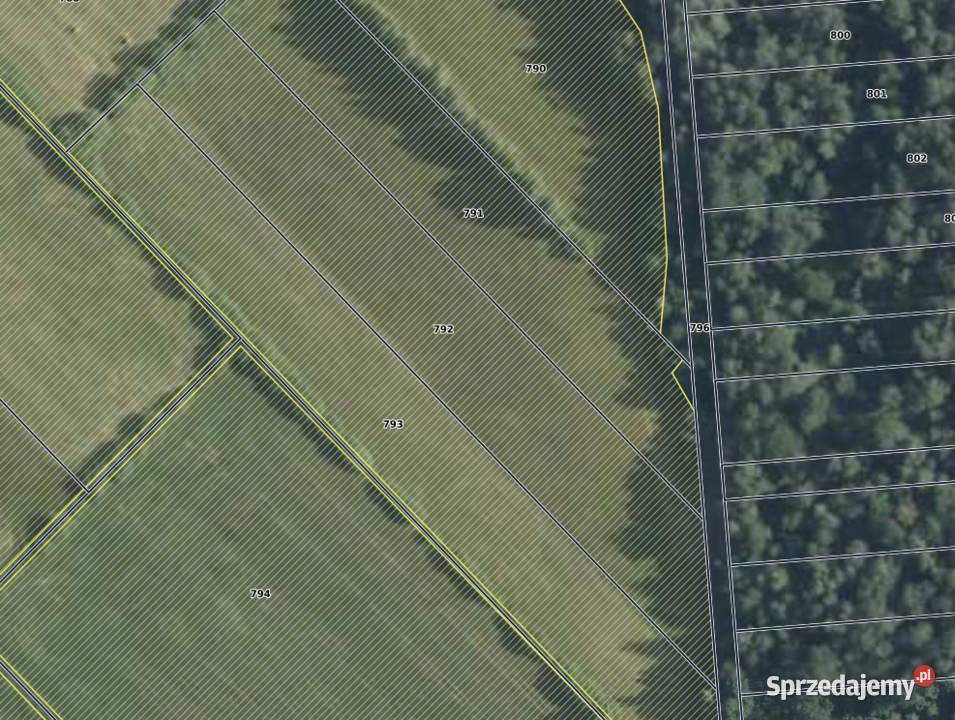 Sprzedam działki rolnerekreacyjne 18454m2 Kodeniec sprzedam