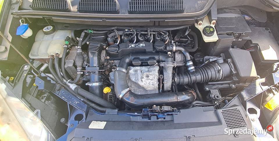 FORD Focus C 16 tdci 109 Kock