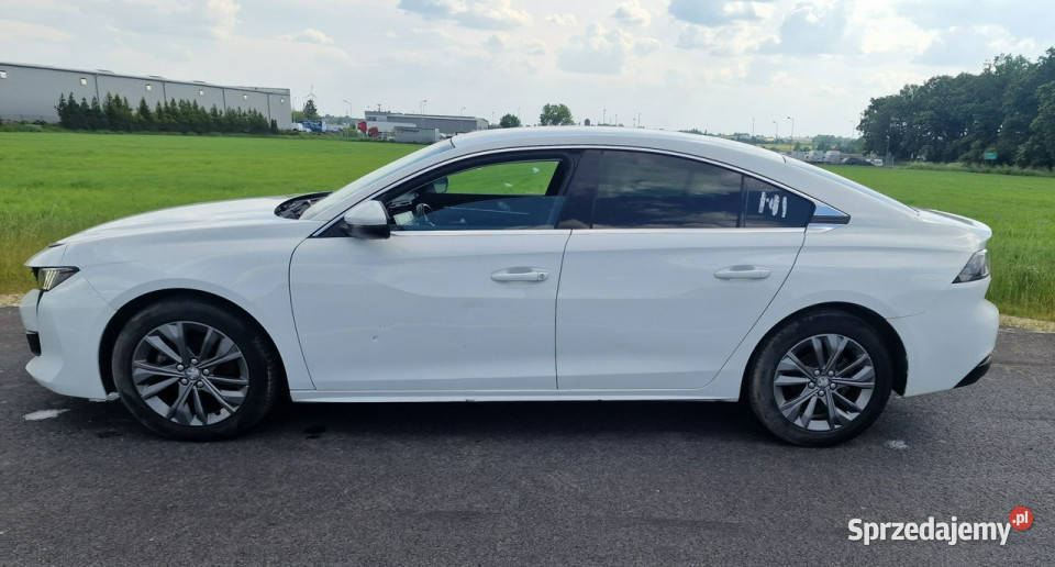 Peugeot 508 Peugeot 508 światła do jazdy dziennej wielkopolskie Pleszew