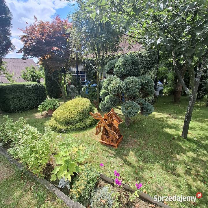 Działka ROD Góra Zabelecka w Nowym Sączu