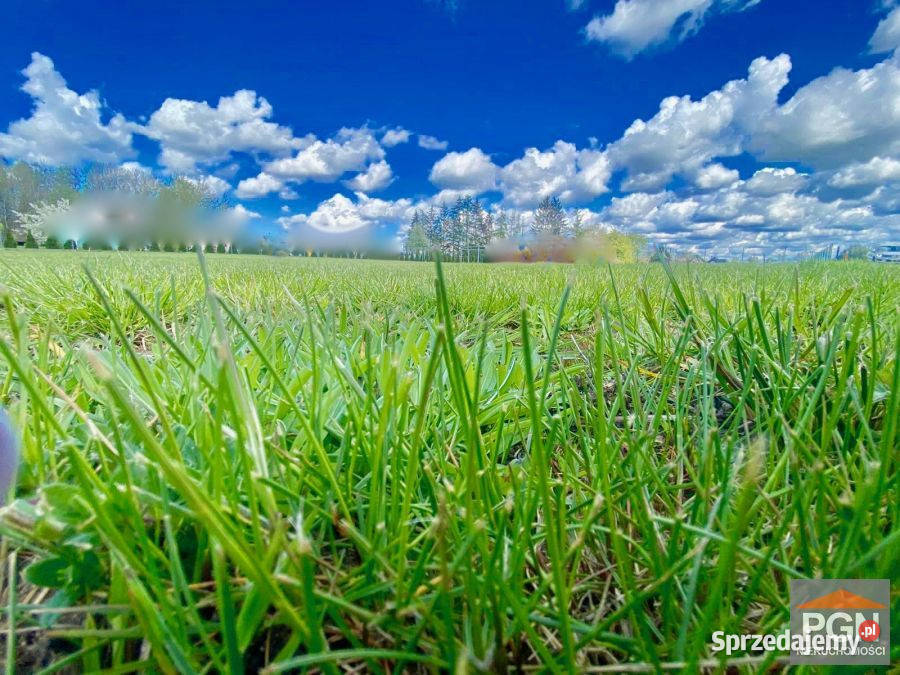 sprzedaży działki Gryfice 1505m2 Sprzedaż