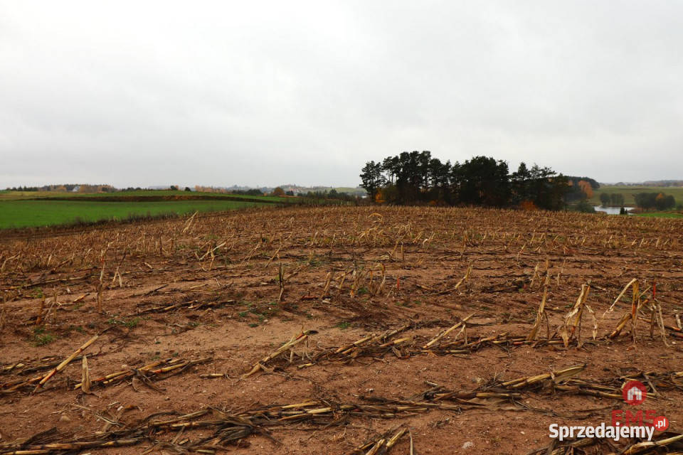 Działka 12000m2 Żegary