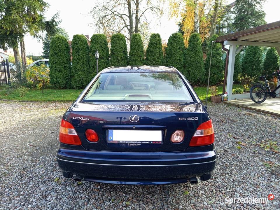 bezwypadkowy oryginalny przebieg pomorskie Stare Polaszki