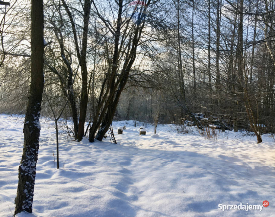 Duża działka rolnobudowlana 28823 ha Mariew Sprzedaż