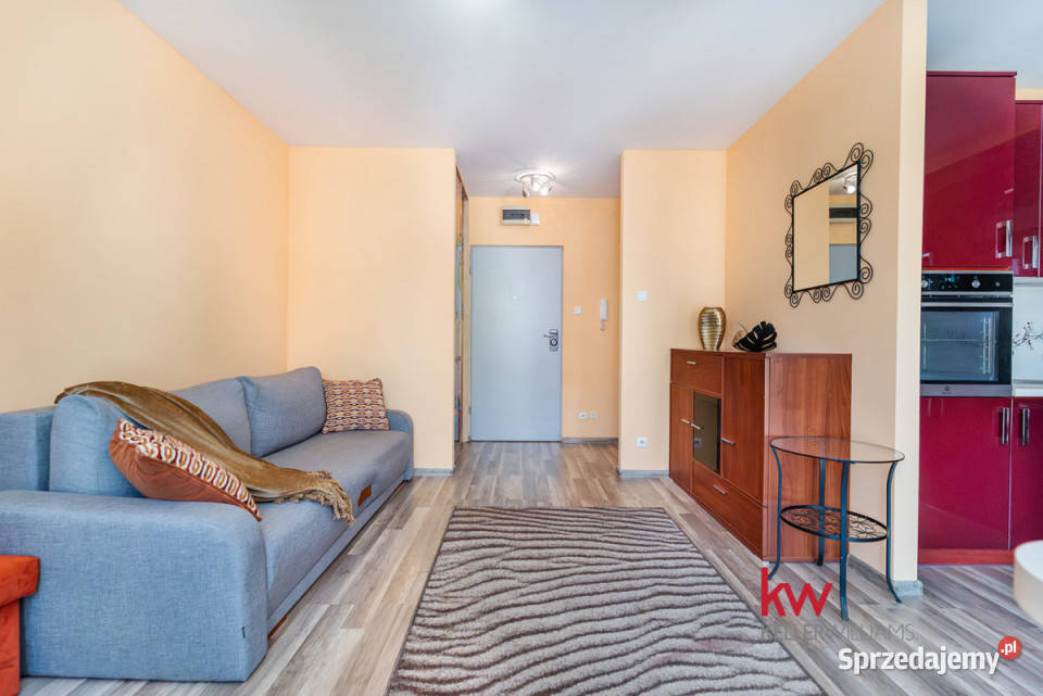 Mieszkanie Poznań 295m2 1 pokojowe
