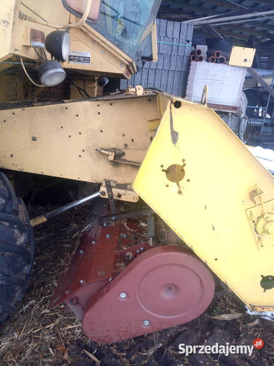 Podcinacz do hederu Klonowa