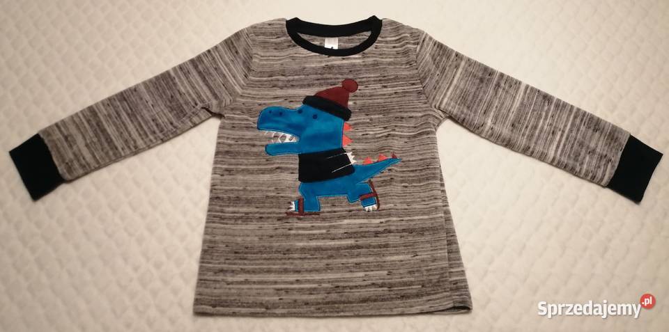 Bluza chłopięca polar długi rękaw CA 116 szara Bluzy śląskie