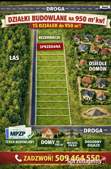 Jezioro Białe Glinki Okuninka Orchówek Włodawa lubelskie