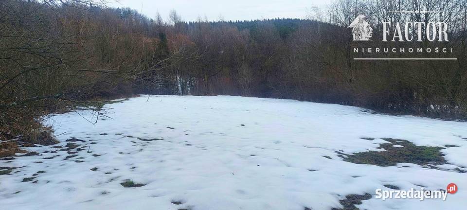 Wyjątkowa posiadłość budowlana 92 a Siary gm Sprzedaż małopolskie