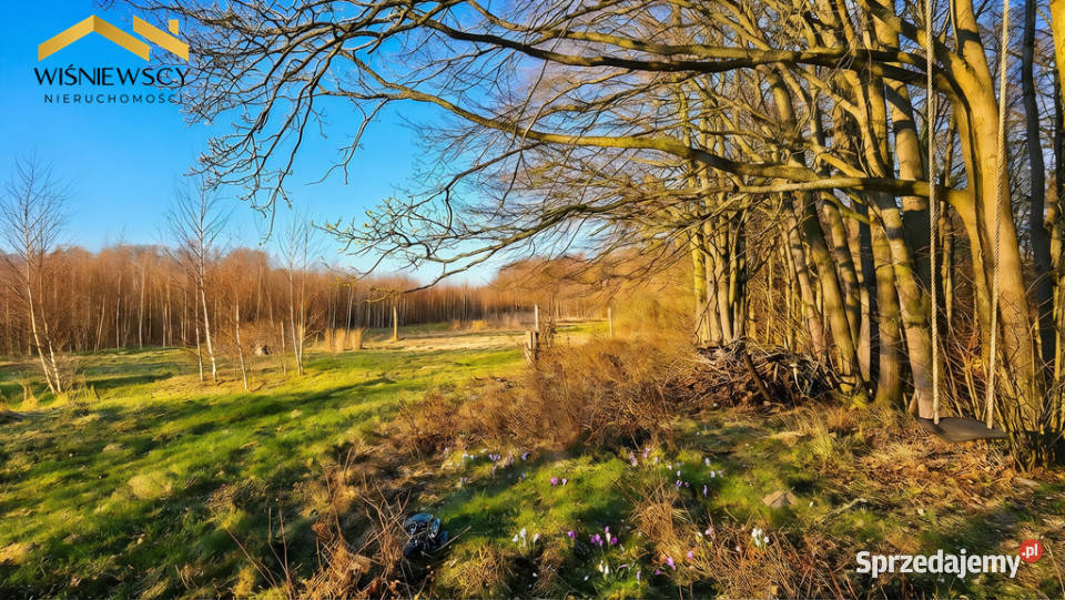 Działka 163 ha rezerwacie Lenki Dawidy