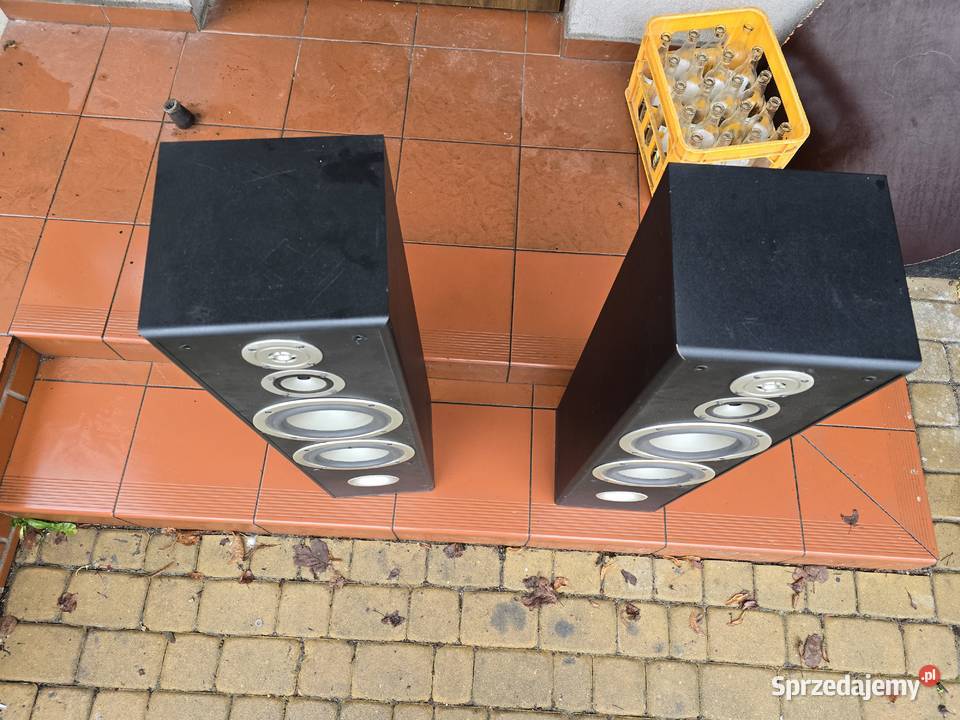 tonsil fenix front 100w 8ohm Chełm Śląski sprzedam