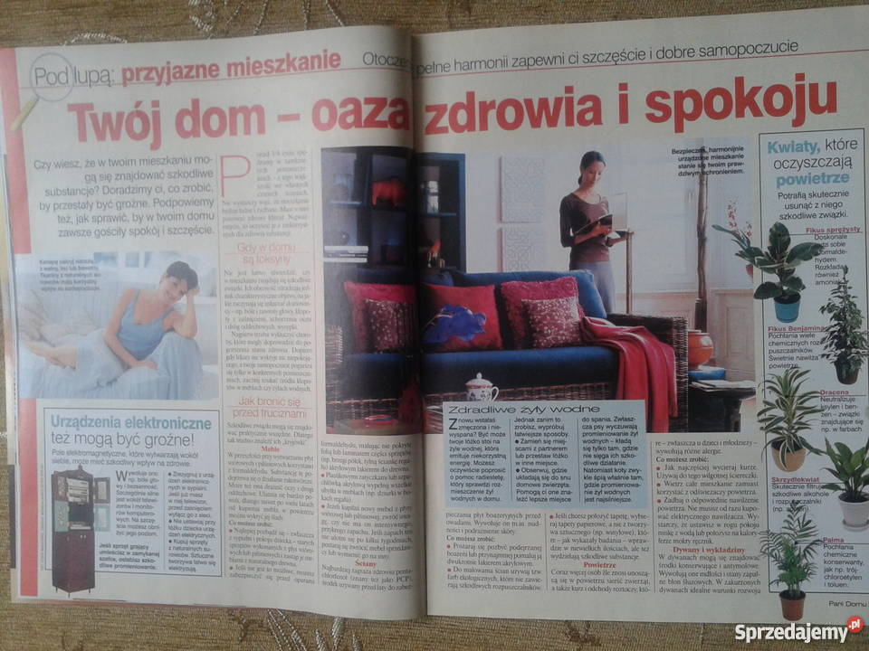 PANI DOMU GDY MĘŻCZYZNA TRACI WŁOSY Rok wydania 2002 lubelskie Piszczac