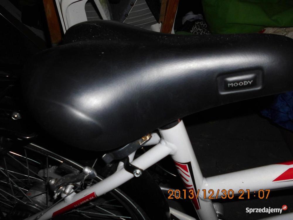 rower miejski pegasus 24 Sława