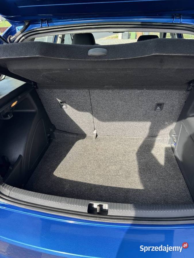 Skoda Rapid 2016 14 TDiAutomat Ciechocinek