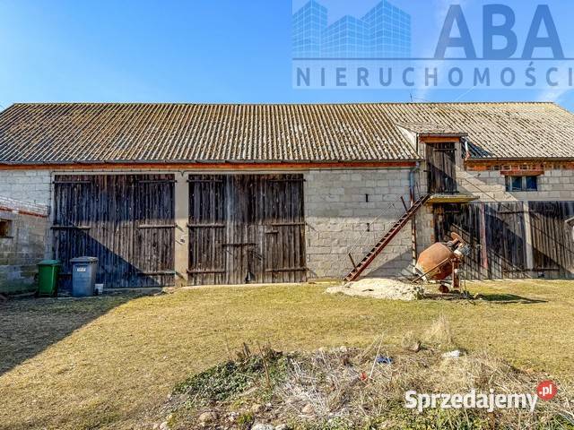 Dom wolnostojący z dużą działką 5673 m budynki węglowe Sprzedaż Brzeźniak