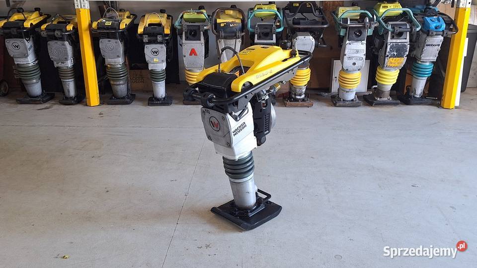 Skoczek Stopa WACKER NEUSON BS 502 11in 2022r nie dolnośląskie Trzebnica