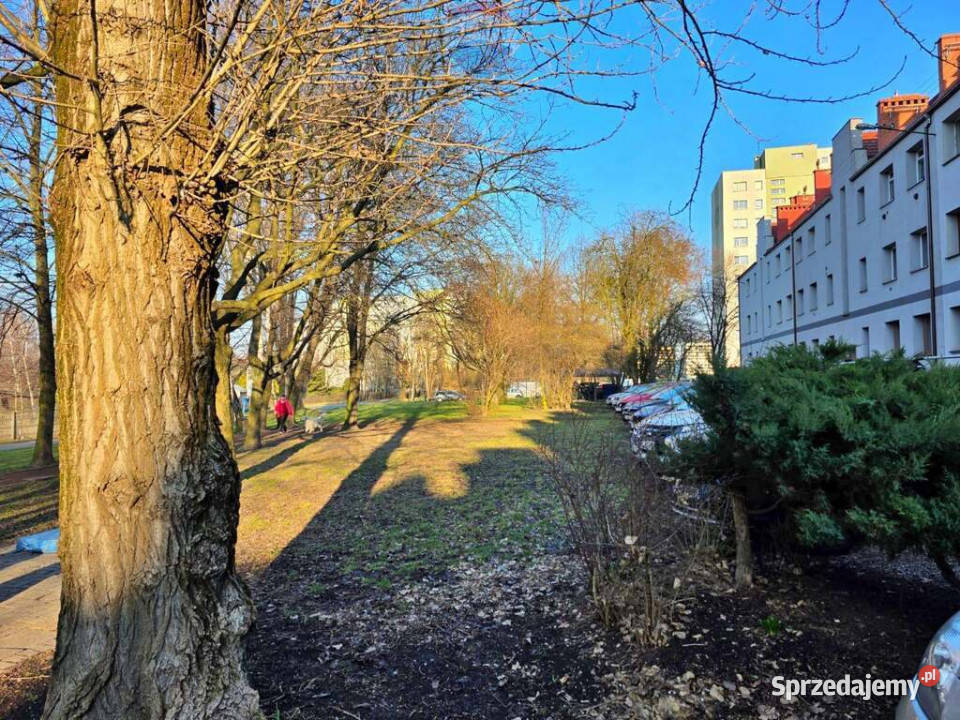 Zadbane z balkonem w centrum Mieszkania Zabrze