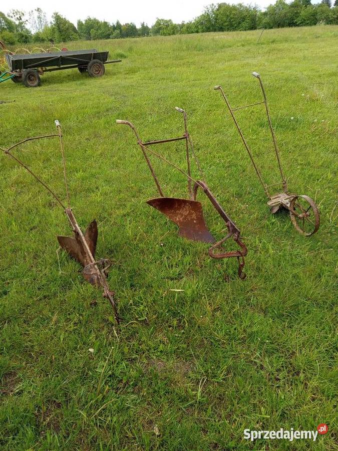 Maszyny konne Wielkolas