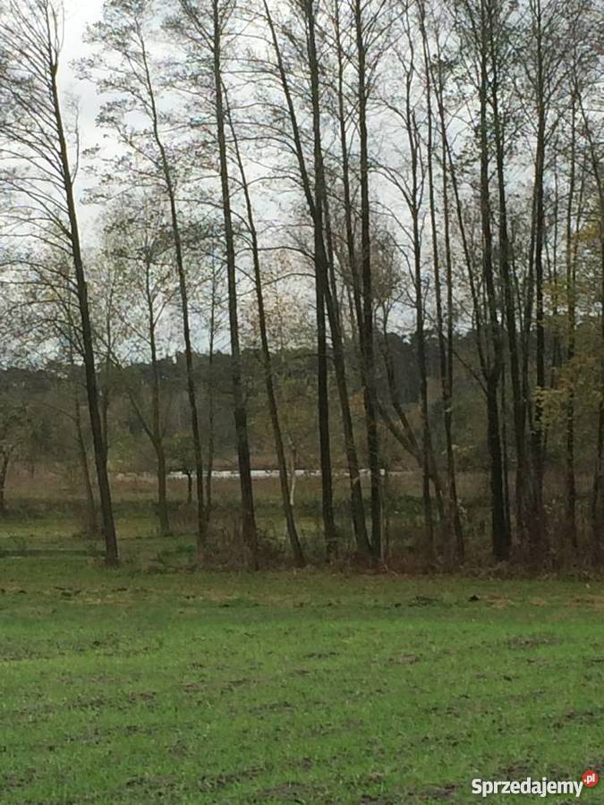 Działki I Siedlisko Jeziorem Zdworskim mazowieckie