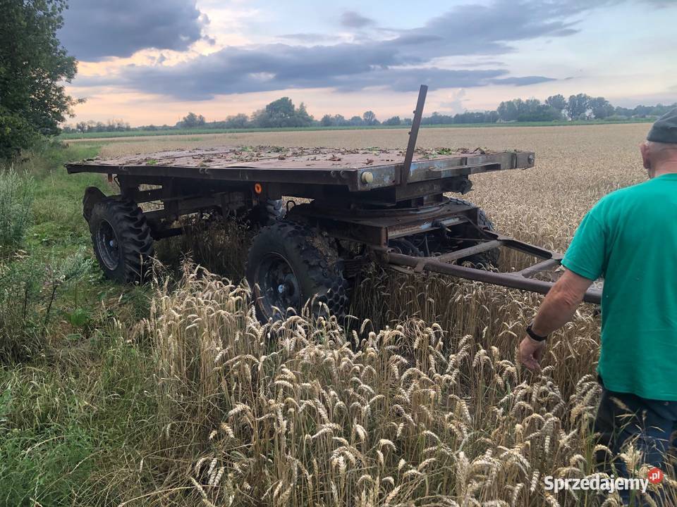 Przyczepa Brandys kujawsko-pomorskie Koneck sprzedam