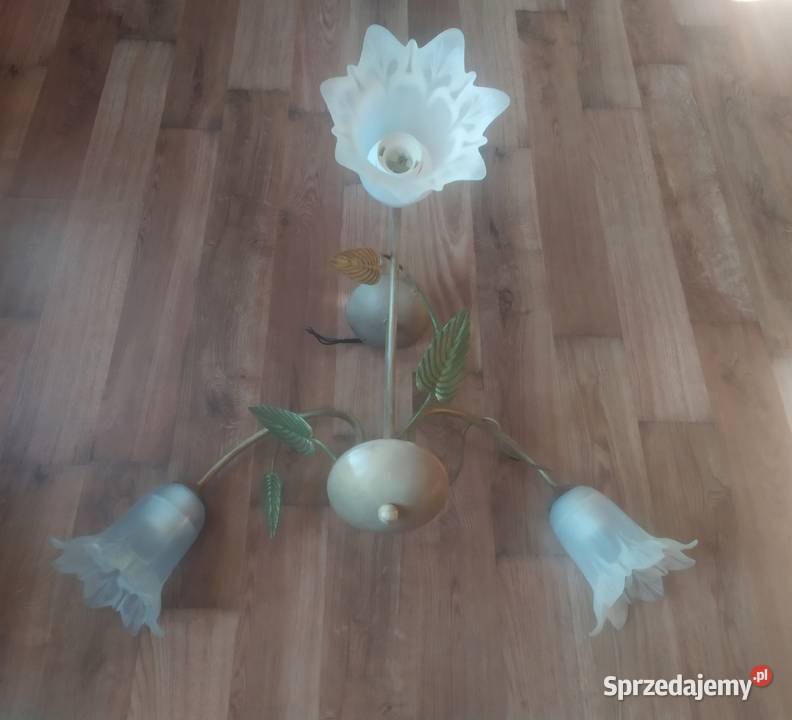 Żyrandol lampa wisząca ze szklanymi kloszami zachodniopomorskie Szczecinek