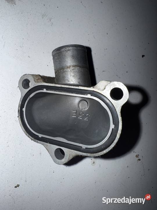 Króciec Suzuki srad Ostrów Wielkopolski