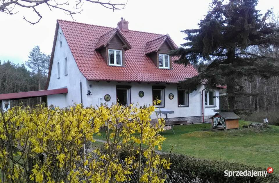 Dom pod lasem w cichym i spokojnym miejscu Mirosławiec