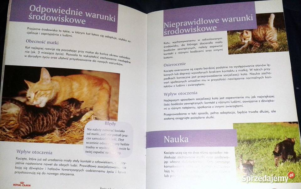 Życie z kotem Opieka i wychowanie Renner Lenfant Chełm