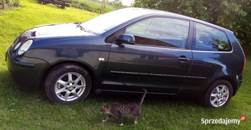 Volgswagen polo Nowy Sącz