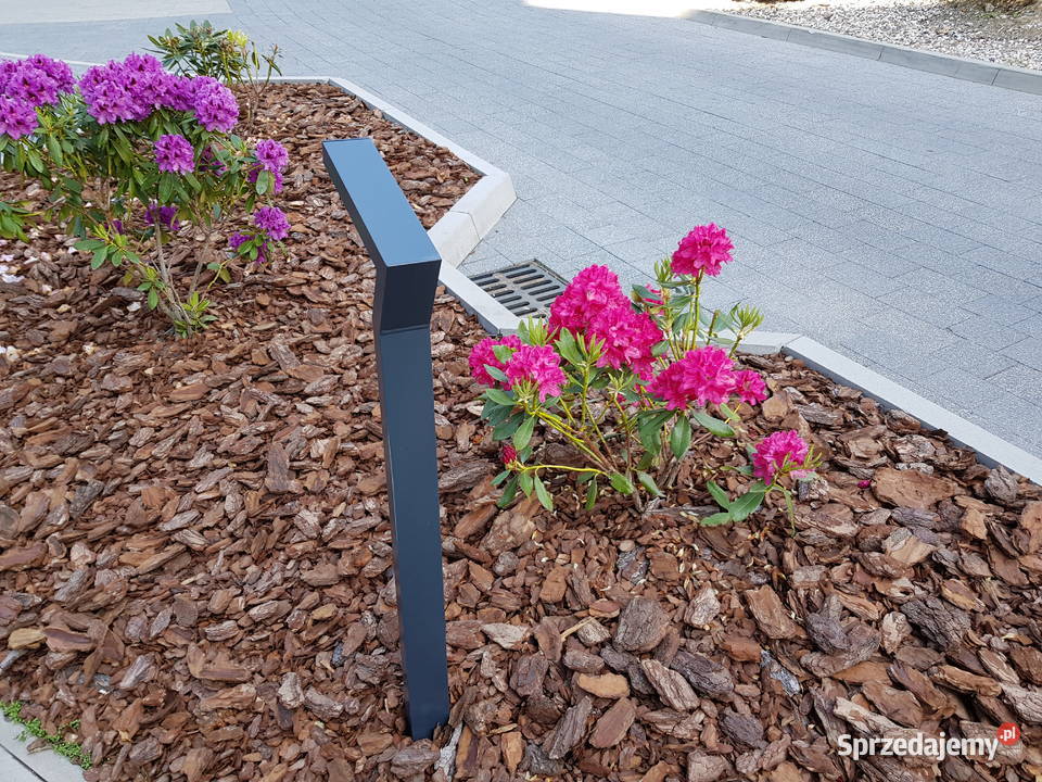 Kostka betonowa Visio kombiformat Świdnica