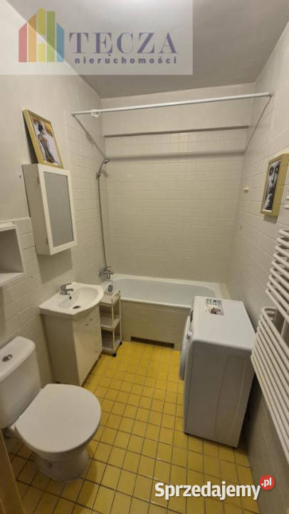 wynajmu mieszkania 50 metrów 3 pokojowe
