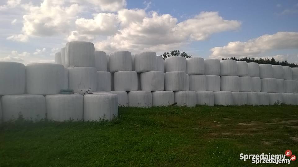 Sprzedam sianokiszonkę Bedlno