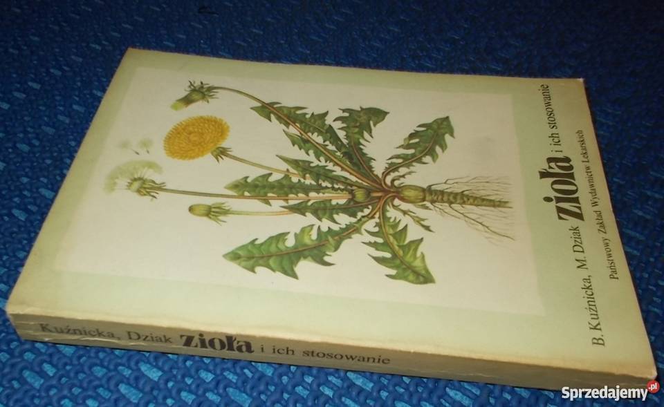 ZIOŁA I ICH STOSOWANIE KUŹNICKA DZIAK Poradniki, albumy i reportaże Kultura i Rozrywka lubuskie Zielona Góra