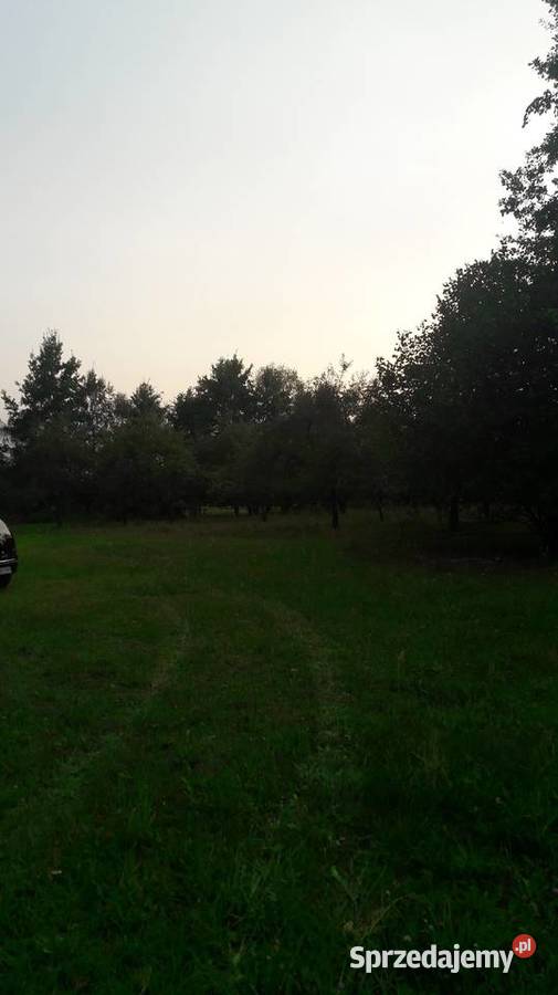 Duza działka 100zł/m2 Bierwiecka Wola